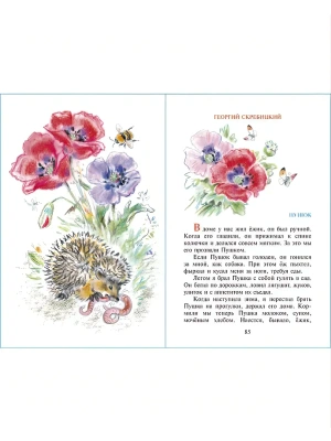 Импортировано из Wildberries