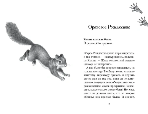 Двенадцать секретов (#8)- купить в магазине Кассандра, фото, 9785041191016, 