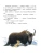 Импортировано из Wildberries Импортировано из Wildberries