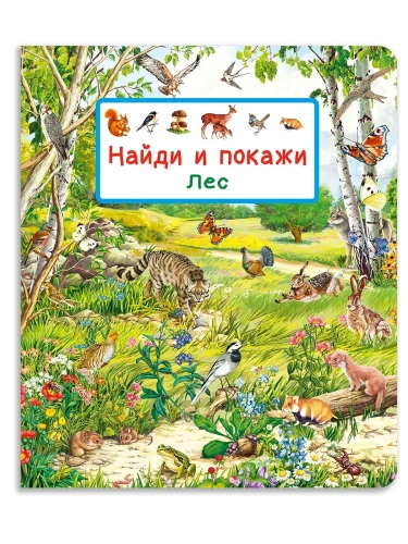 Найди и покажи. Лес- купить в магазине Кассандра, фото, 9785465048279, 