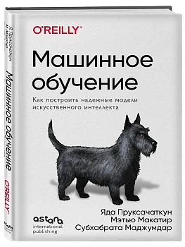 Машинное обучение. Как построить надежные модели искусственного интеллекта - купить в магазине Кассандра, фото, 9786011260190, 