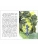 Импортировано из Wildberries Импортировано из Wildberries