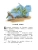 Импортировано из Wildberries Импортировано из Wildberries
