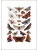 Импортировано из Wildberries Импортировано из Wildberries