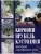 Коровин.Врубель.Кустодиев.Мастера Серебряного века- купить в магазине Кассандра, фото, 9785001855729, 