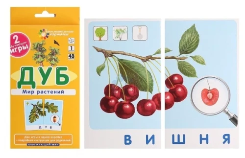 ОМ1.Дуб. Мир растений- купить в магазине Кассандра, фото, 9785811250837, 