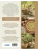 Импортировано из Wildberries Импортировано из Wildberries