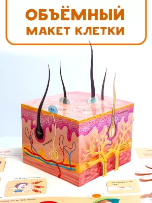 Импортировано из Wildberries