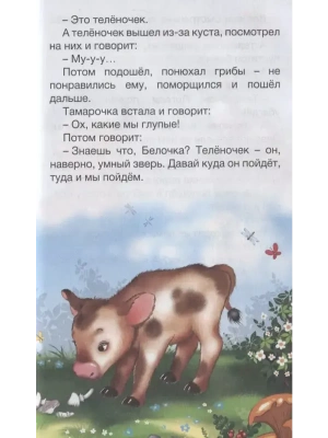 Импортировано из Wildberries