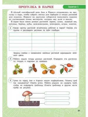 Импортировано из Wildberries