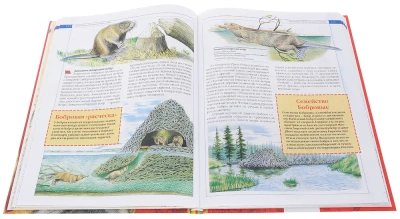 Красная книга России. Животные- купить в магазине Кассандра, фото, 9785353075394, 