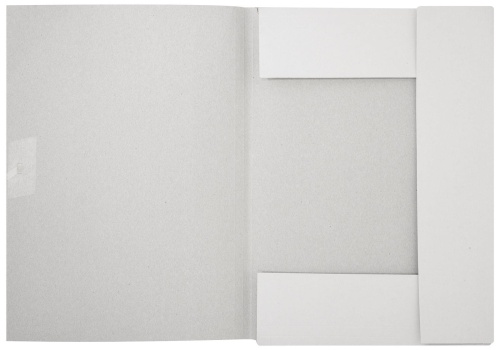 Папка с завязками inФОРМАТ ДЕЛО А4 белый мелов. картон 280 г/м2- купить в магазине Кассандра, фото, 4602723080770, 