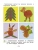 Импортировано из Wildberries Импортировано из Wildberries
