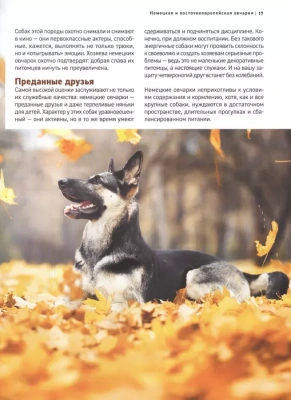 Все породы собак. Большая иллюстрированная энциклопедия- купить в магазине Кассандра, фото, 9785041130626, 