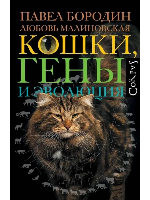 Кошки, гены и эволюция- купить в магазине Кассандра, фото, 9785171793296, 