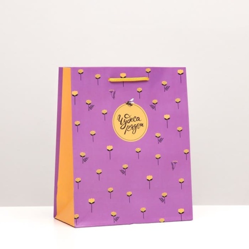 Пакет подарочный "Чудеса рядом", 18 х 22,3 х 10 см 7510983- купить в магазине Кассандра, фото, 6900075109834, 