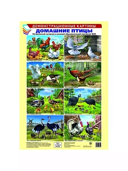 Демонстрационные картины. ДОМАШНИЕ ПТИЦЫ. Методич. мат-л к ООП ДОО. 8 картин А3+ - купить в магазине Кассандра, фото, 9785994918012, 