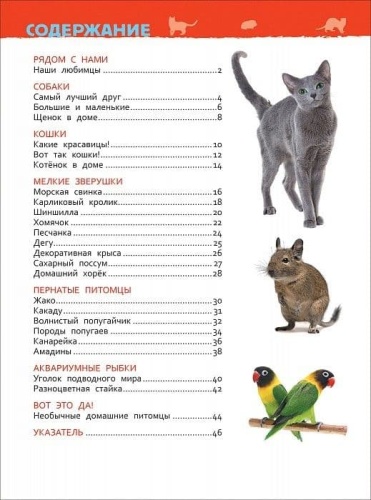Энциклопедия для детского сада.Домашние питомцы- купить в магазине Кассандра, фото, 9785353084778, 