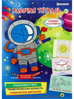 Рабочая тетрадь 6+. ОЗОРНЫМ МАЛЬЧИШКАМ (РТ-4907)полноцв.8л.бл офс.100г,обл мел карт, гл лам,195*276 — фото, ISBN 4620129749077