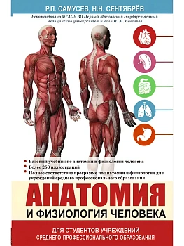 Анатомия и физиология человека. Учебное пособие для студентов учреждений среднего профессионального — фото, ISBN 9785170960668
