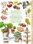 Импортировано из Wildberries Импортировано из Wildberries