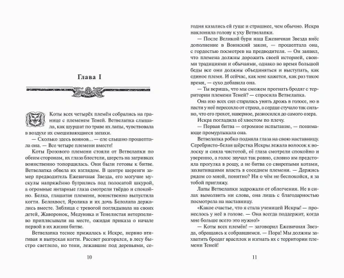 Коты-воители. Цикл "Видение теней". Расколотое небо. Хантер.- купить в магазине Кассандра, фото, 9785090941693, 