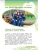 Импортировано из Wildberries Импортировано из Wildberries