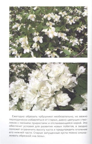 Энциклопедия садовой обрезки- купить в магазине Кассандра, фото, 9785171527327, 