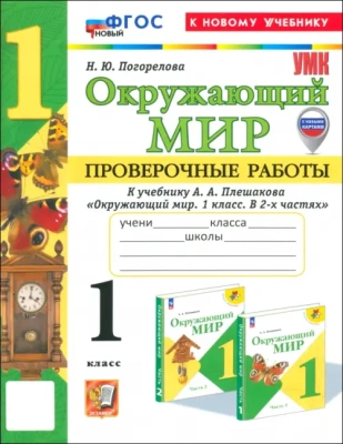 Окружающий мир 1кл.Плешаков.Проверочные работы.ФГОС НОВЫЙ (к новому учебнику)2025 Школа России — фото, ISBN 9785377199243