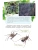 Импортировано из Wildberries Импортировано из Wildberries