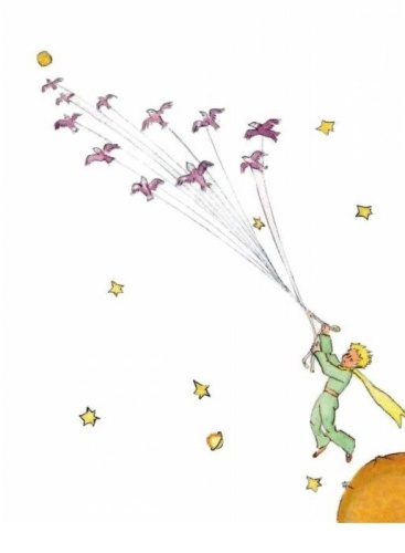 Маленький принц (рис. автора) (цв.)- купить в магазине Кассандра, фото, 9785699943265, 