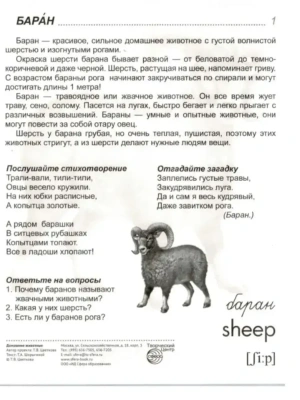 Импортировано из Wildberries