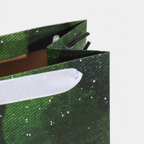 Пакет под бутылку «С днём защитника Отечества», 36 *13 *10 см  2936758- купить в магазине Кассандра, фото, 6900029367587, 