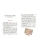 Импортировано из Wildberries Импортировано из Wildberries