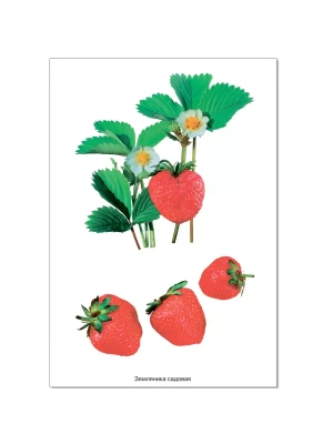 Импортировано из Wildberries