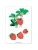 Импортировано из Wildberries Импортировано из Wildberries