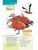 Импортировано из Wildberries Импортировано из Wildberries