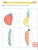 Импортировано из Wildberries Импортировано из Wildberries