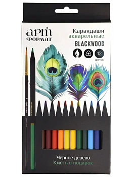 Карандаши акварельных 12цв. АРТформат Blackwood трехгран. корп. дерев. карт - купить в магазине Кассандра, фото, 4602723195511, 
