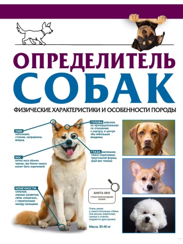 Определитель собак. Физические характеристики и особеннности породы- купить в магазине Кассандра, фото, 9785171567545, 