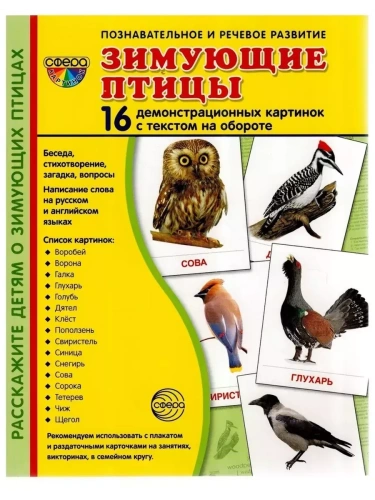 Дем. картинки СУПЕР Зимующие птицы. 16 демонстр. картинок с текстом (173х220мм)- купить в магазине Кассандра, фото, 9785994918326, 