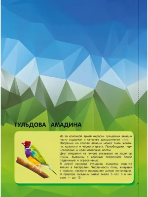 Импортировано из Wildberries