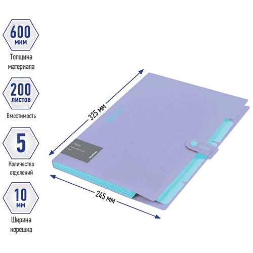Папка 5 отделений Berlingo "Haze", А4, 600мкм, на кнопке, сиреневая, софт-тач- купить в магазине Кассандра, фото, 4260709080369, 