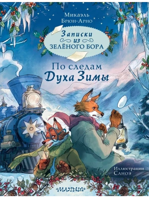 Записки из Зелёного Бора. По следам Духа Зимы — фото, ISBN 9785171641528