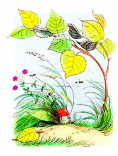 Сказки в картинках- купить в магазине Кассандра, фото, 9785170976942, 