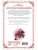 Импортировано из Wildberries Импортировано из Wildberries