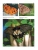 Импортировано из Wildberries Импортировано из Wildberries