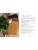 Импортировано из Wildberries Импортировано из Wildberries
