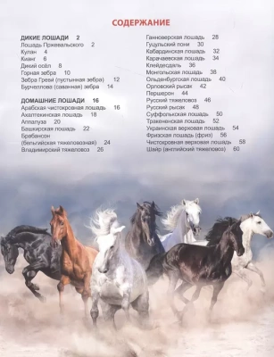 Лошади. Энциклопедия для детей- купить в магазине Кассандра, фото, 9785378321063, 