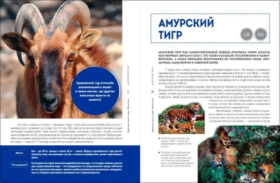 Красная книга мира. Животные- купить в магазине Кассандра, фото, 9785041798963, 